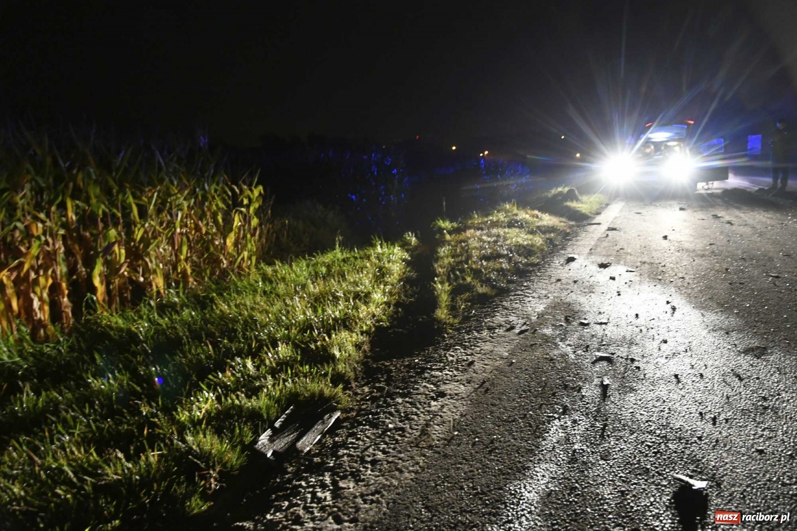 Zdjęcie w galerii na portalu naszraciborz.pl: DK 45 Racibórz-Opole. Tragiczny wypadek w Rudniku wiadomości z regionu