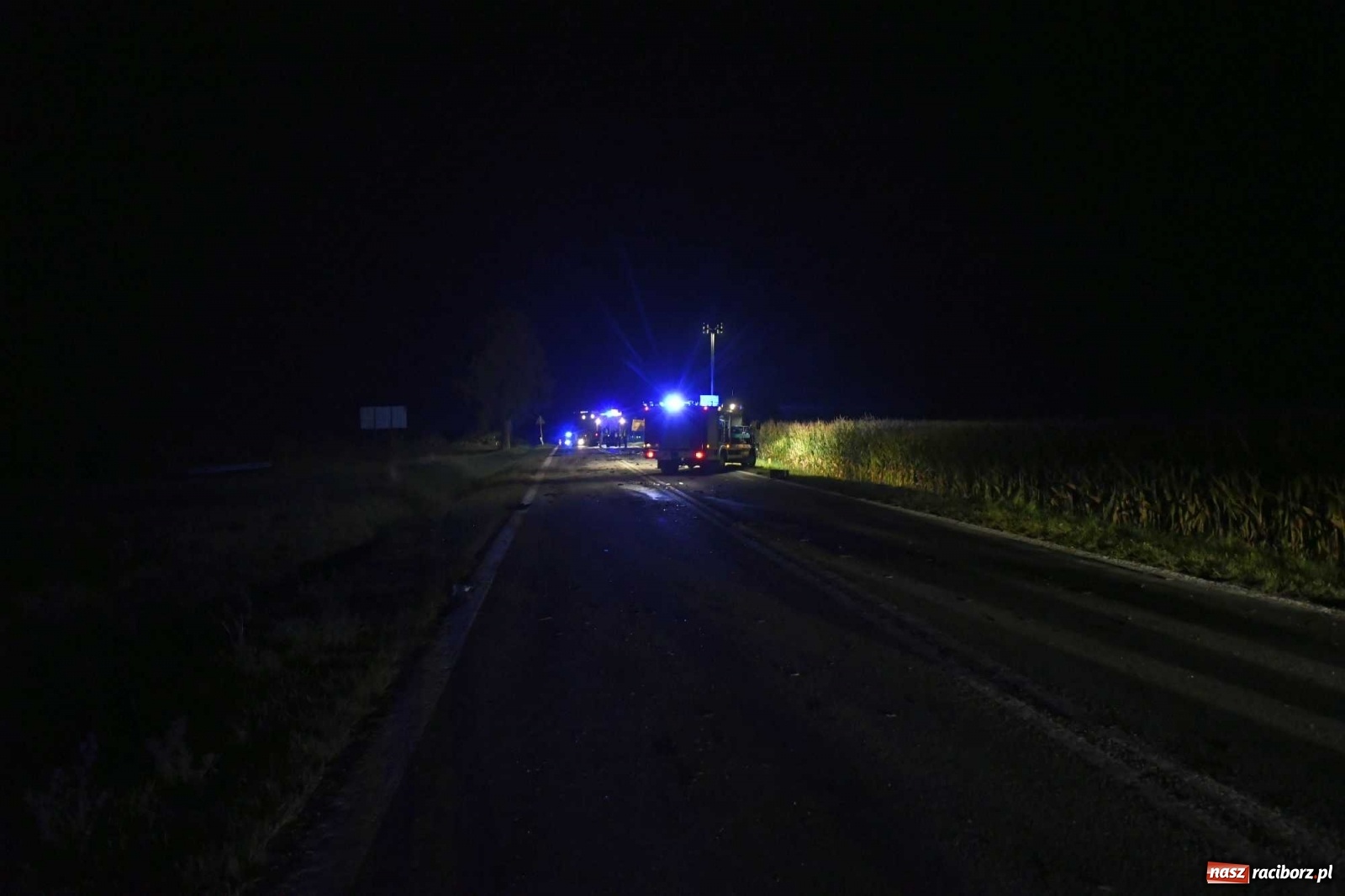 Zdjęcie w galerii na portalu naszraciborz.pl: DK 45 Racibórz-Opole. Tragiczny wypadek w Rudniku wiadomości z regionu