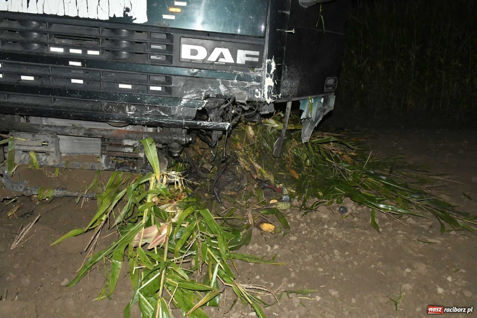 Zdjęcie w galerii na portalu naszraciborz.pl: DK 45 Racibórz-Opole. Tragiczny wypadek w Rudniku wiadomości z regionu