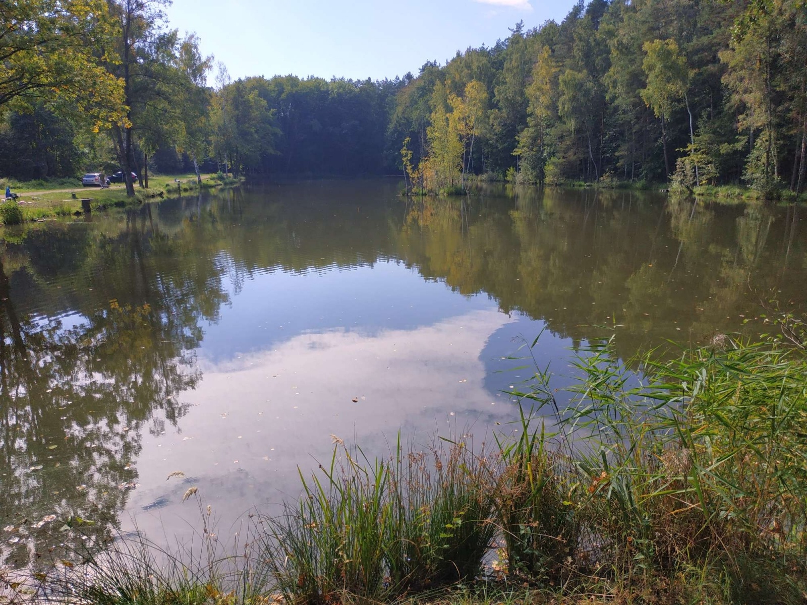 Zdjęcie w galerii na portalu naszraciborz.pl: Wędkarska rywalizacja o Puchar Dyrektora OSiR-u wiadomości z regionu