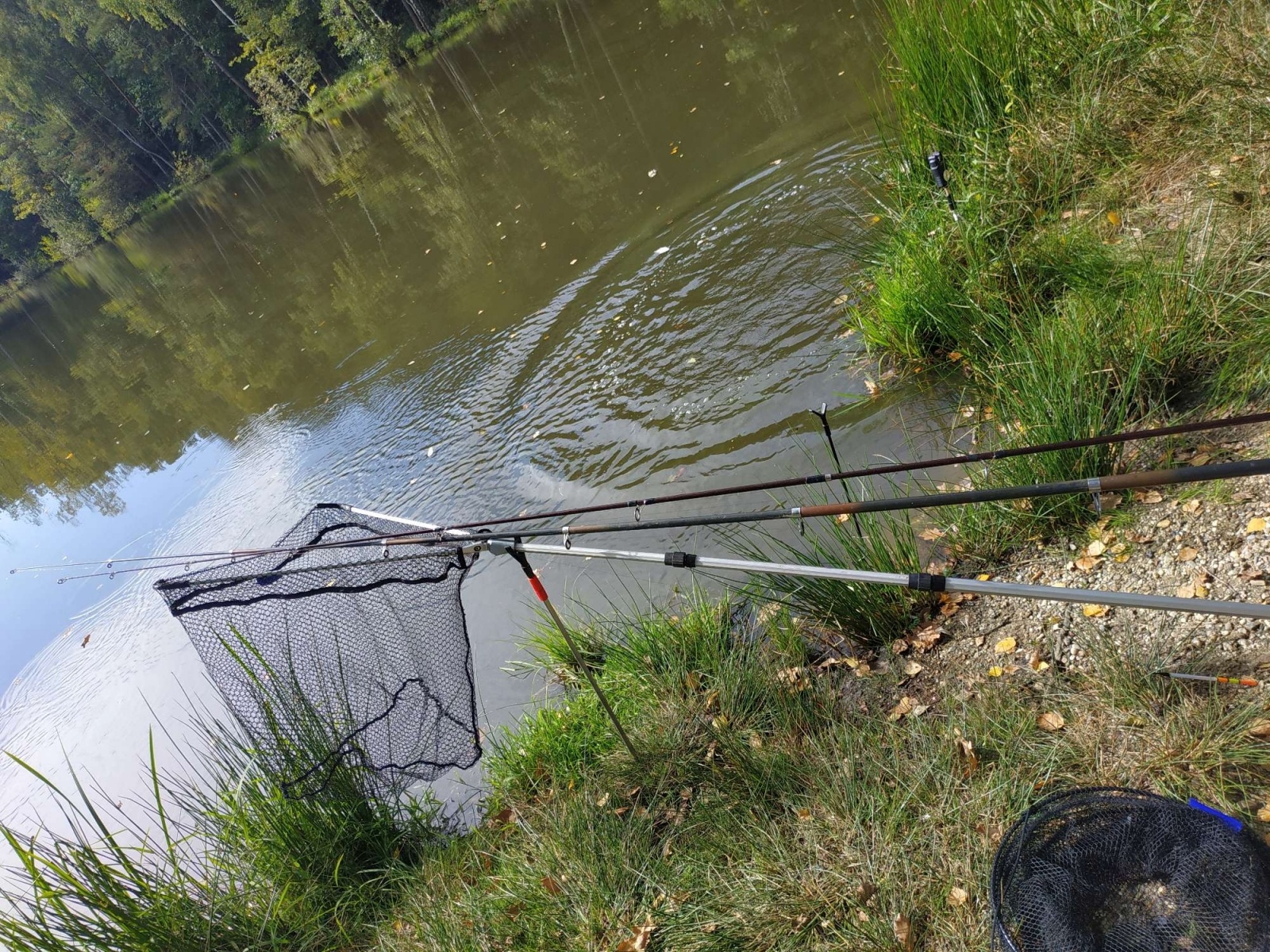 Zdjęcie w galerii na portalu naszraciborz.pl: Wędkarska rywalizacja o Puchar Dyrektora OSiR-u wiadomości z regionu