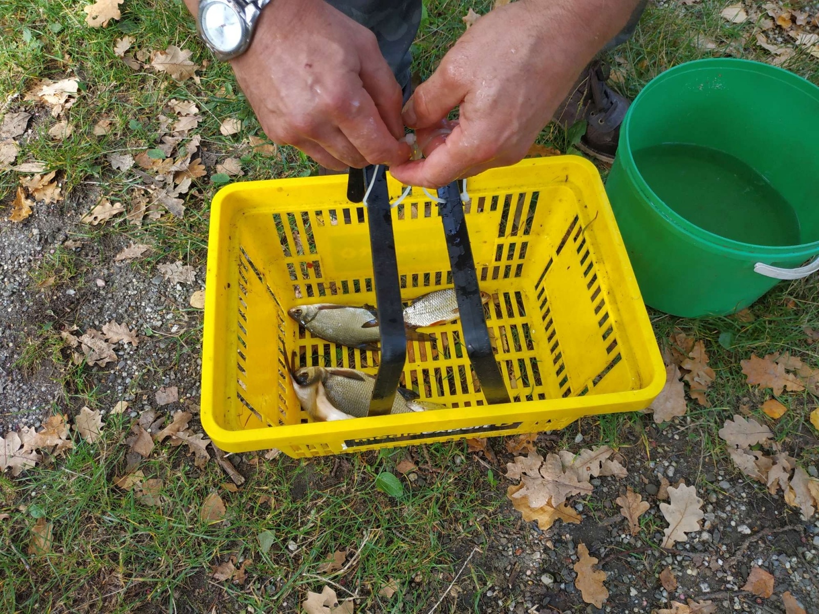 Zdjęcie w galerii na portalu naszraciborz.pl: Wędkarska rywalizacja o Puchar Dyrektora OSiR-u wiadomości z regionu