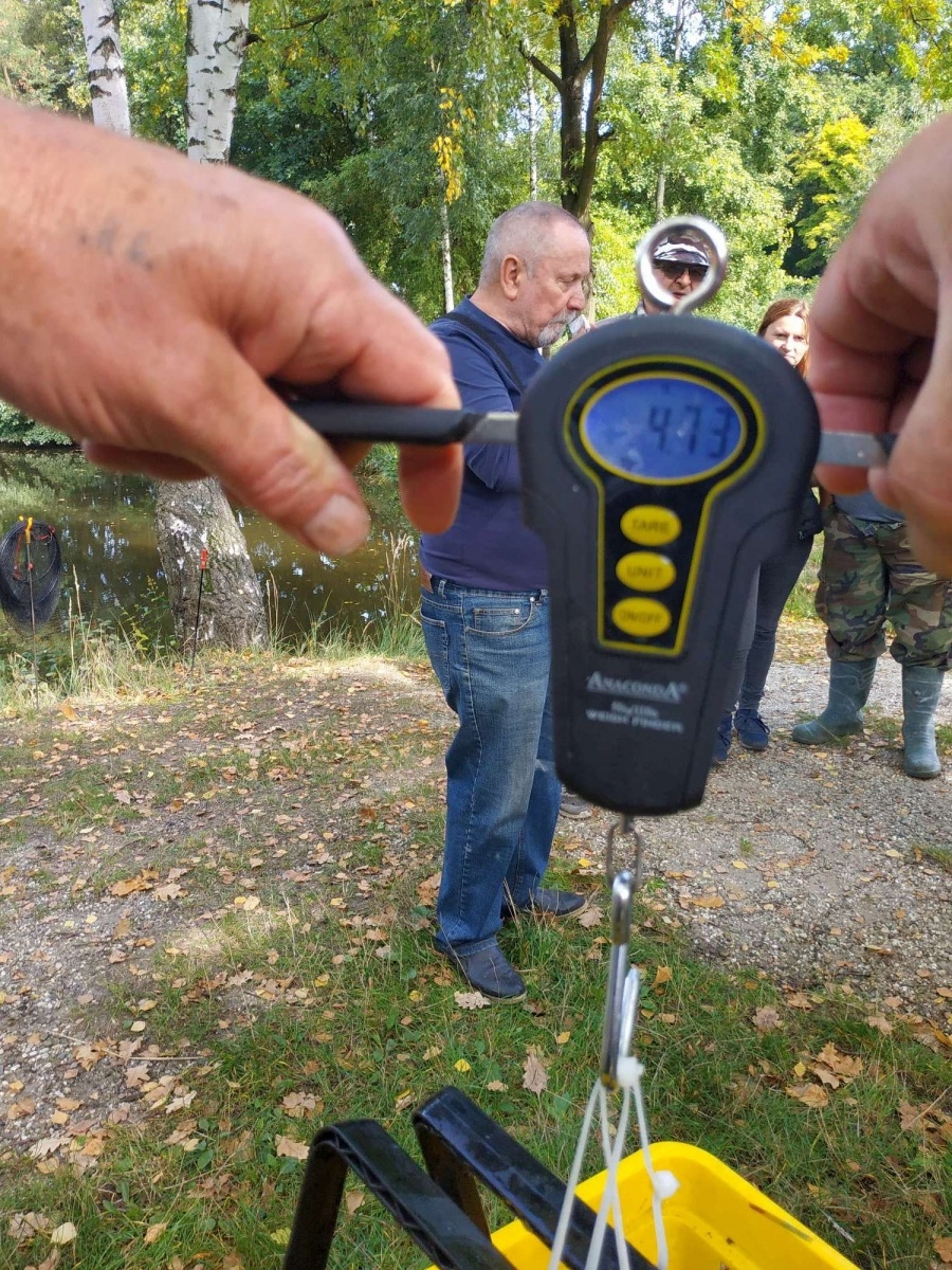 Zdjęcie w galerii na portalu naszraciborz.pl: Wędkarska rywalizacja o Puchar Dyrektora OSiR-u wiadomości z regionu