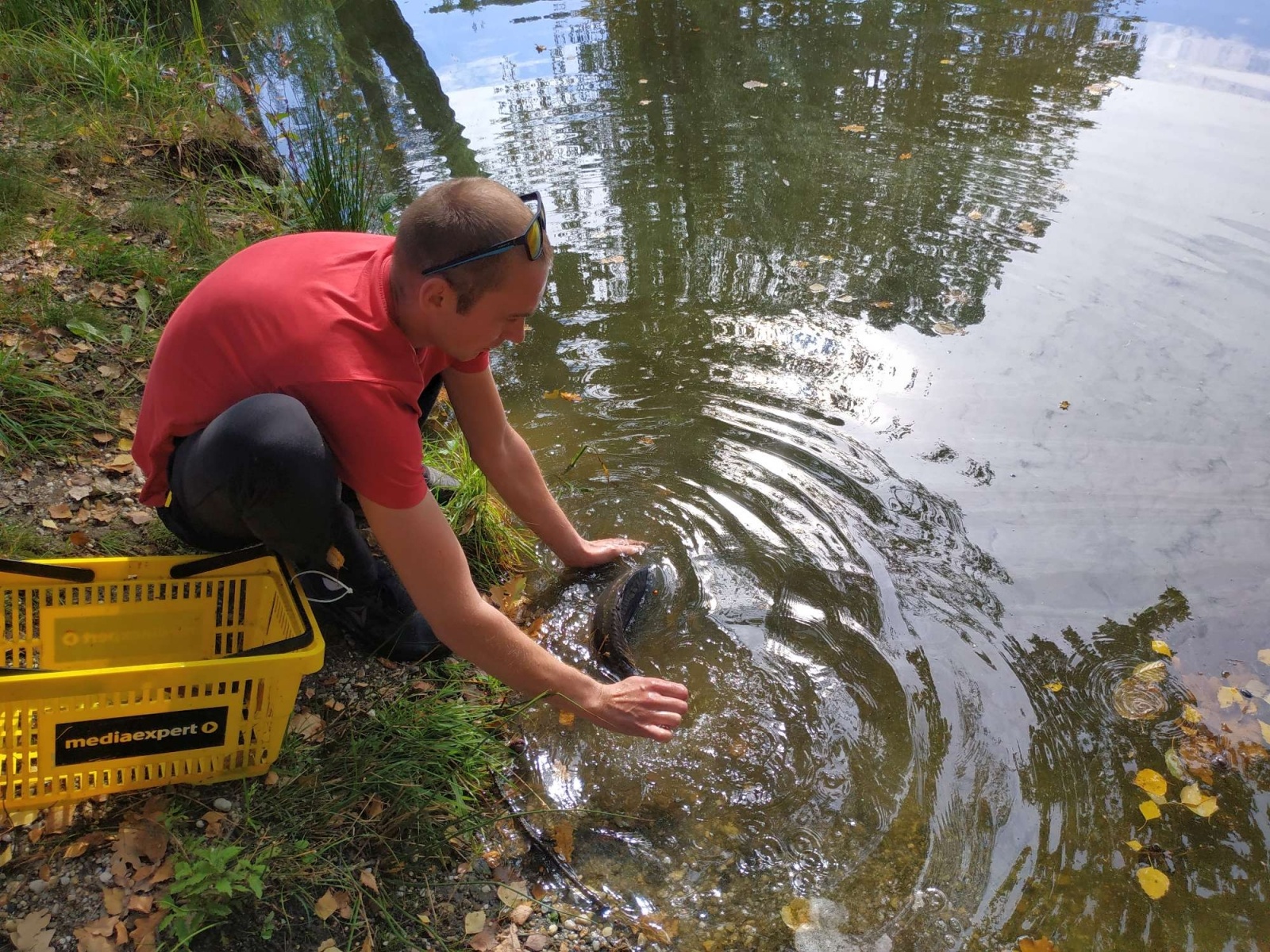 Zdjęcie w galerii na portalu naszraciborz.pl: Wędkarska rywalizacja o Puchar Dyrektora OSiR-u wiadomości z regionu