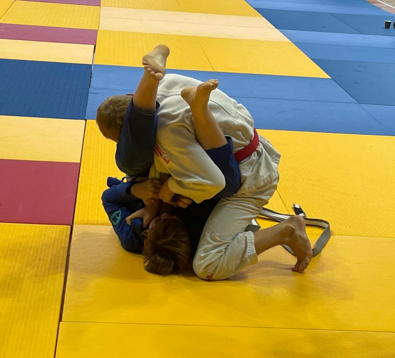 Zdjęcie w galerii na portalu naszraciborz.pl: Ju Jistu. Raciborzanie z sukcesami w Katowicach wiadomości z regionu