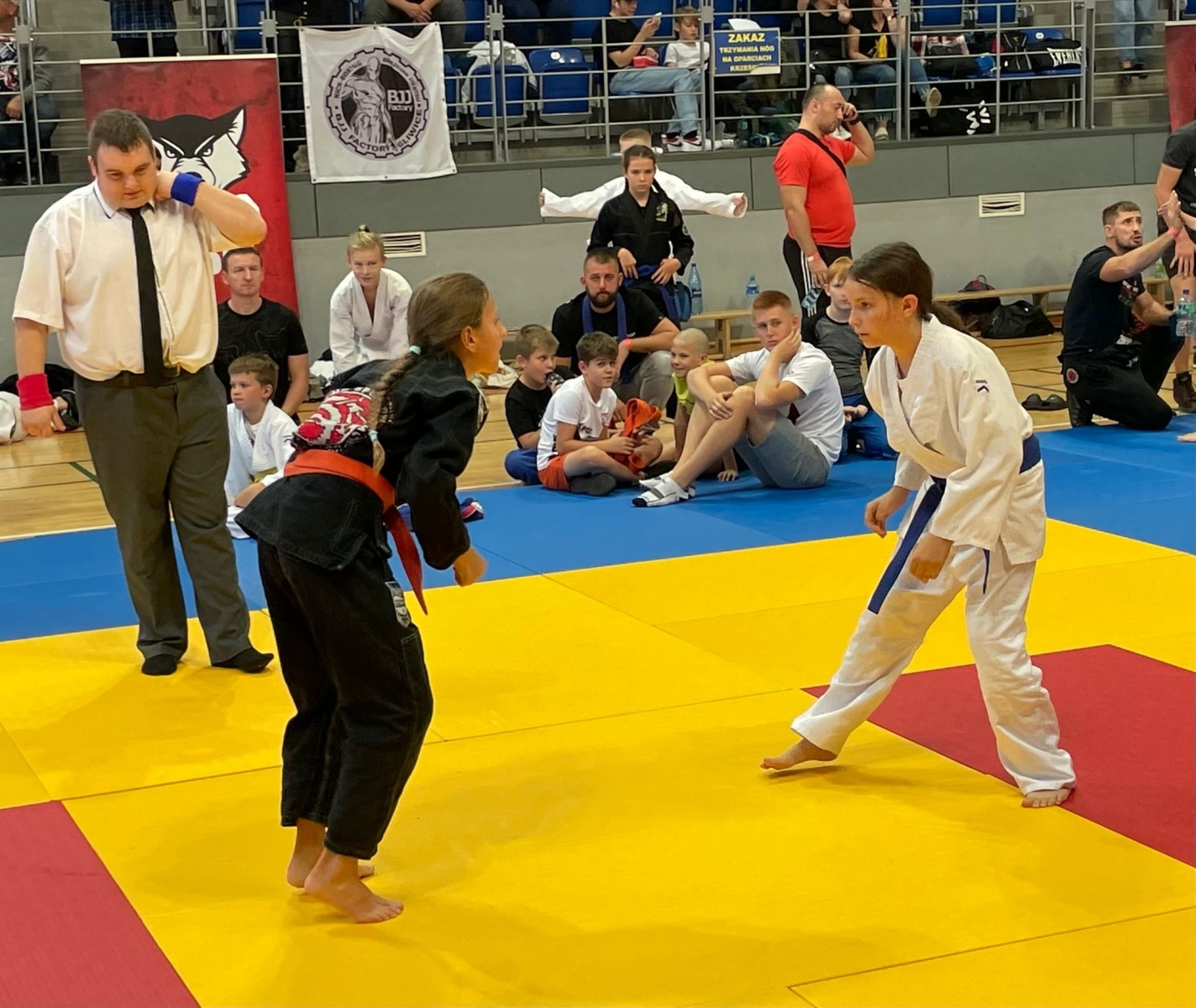 Zdjęcie w galerii na portalu naszraciborz.pl: Ju Jistu. Raciborzanie z sukcesami w Katowicach wiadomości z regionu