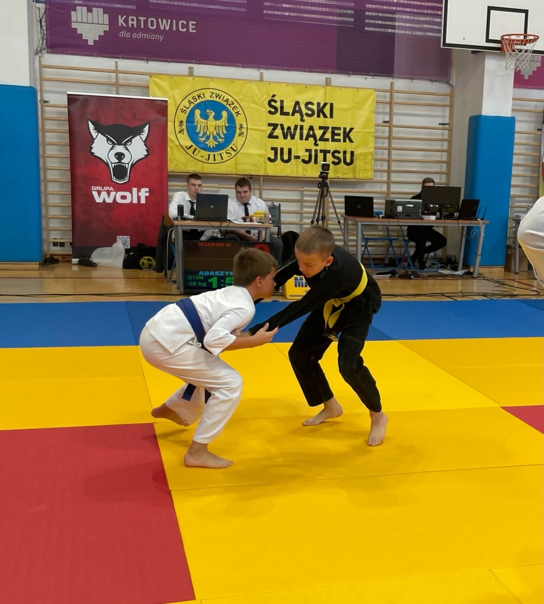 Zdjęcie w galerii na portalu naszraciborz.pl: Ju Jistu. Raciborzanie z sukcesami w Katowicach wiadomości z regionu