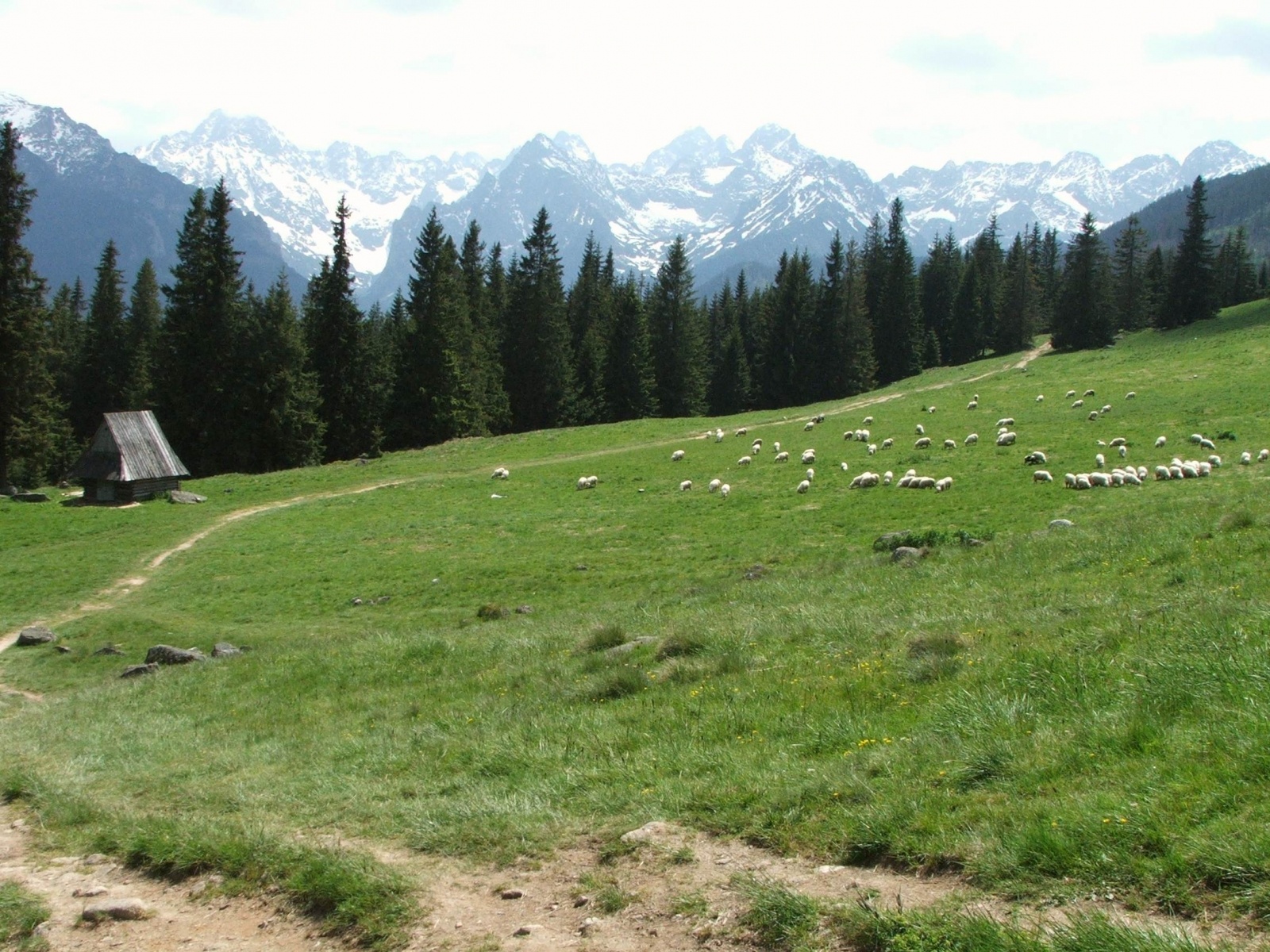 Zdjęcie w galerii na portalu naszraciborz.pl: Jesienią Tatry stają się magiczne... wiadomości z regionu
