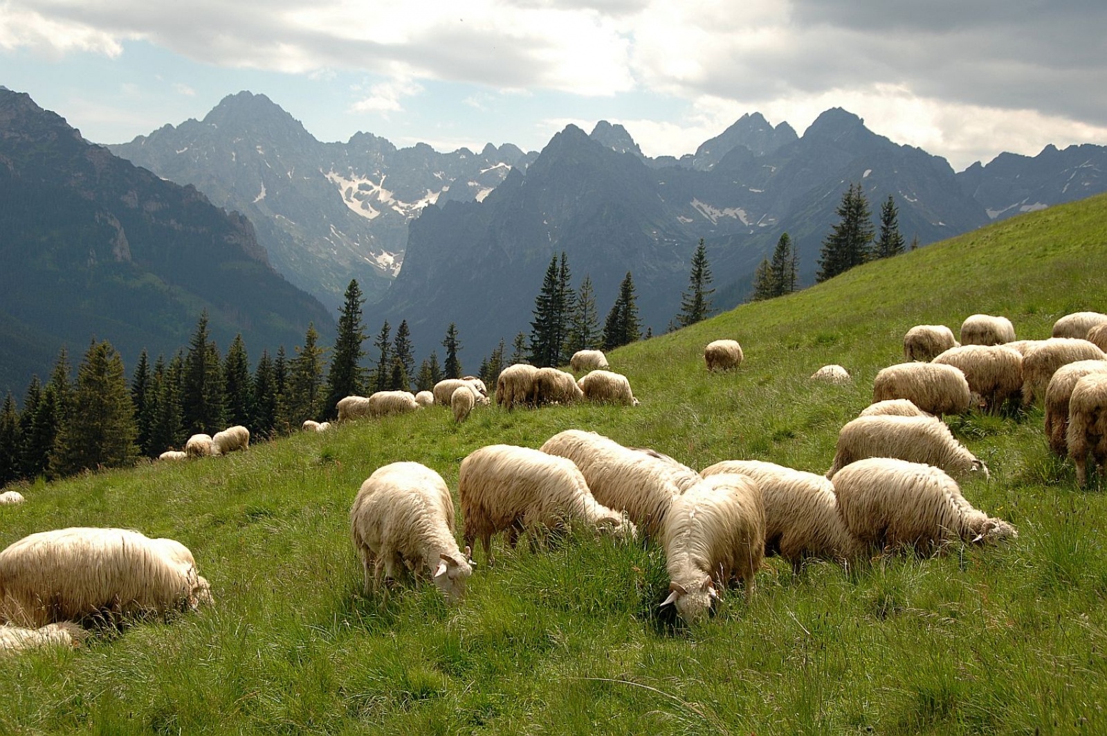 Zdjęcie w galerii na portalu naszraciborz.pl: Jesienią Tatry stają się magiczne... wiadomości z regionu