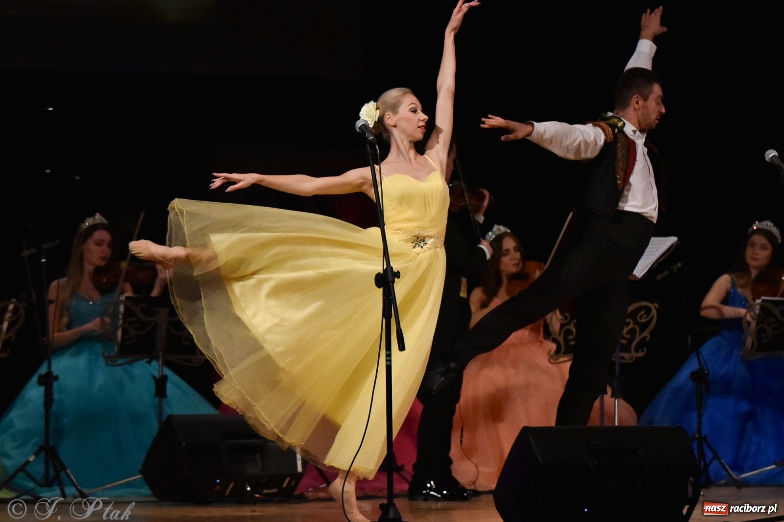 Zdjęcie w galerii na portalu naszraciborz.pl: Raciborzanie kochają Straussa. Koncert wiedeński w RCK wiadomości z regionu