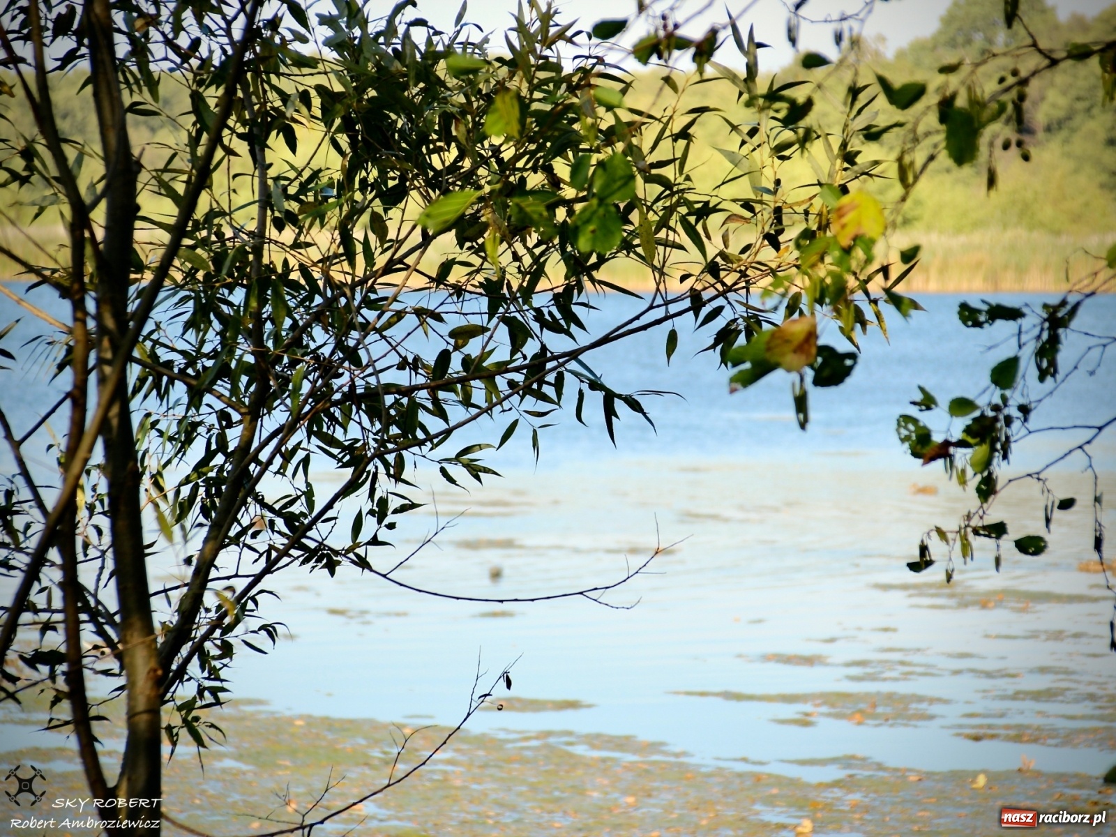 Zdjęcie w galerii na portalu naszraciborz.pl: Łężczok jak Morskie Oko. Rezerwat jest oblegany przez turystów [FOTO] wiadomości z regionu