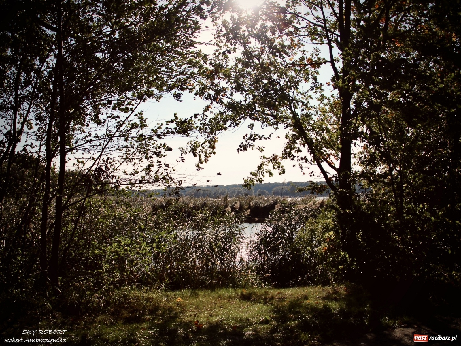 Zdjęcie w galerii na portalu naszraciborz.pl: Łężczok jak Morskie Oko. Rezerwat jest oblegany przez turystów [FOTO] wiadomości z regionu
