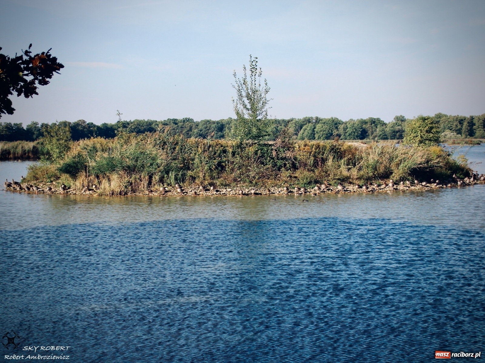 Zdjęcie w galerii na portalu naszraciborz.pl: Łężczok jak Morskie Oko. Rezerwat jest oblegany przez turystów [FOTO] wiadomości z regionu