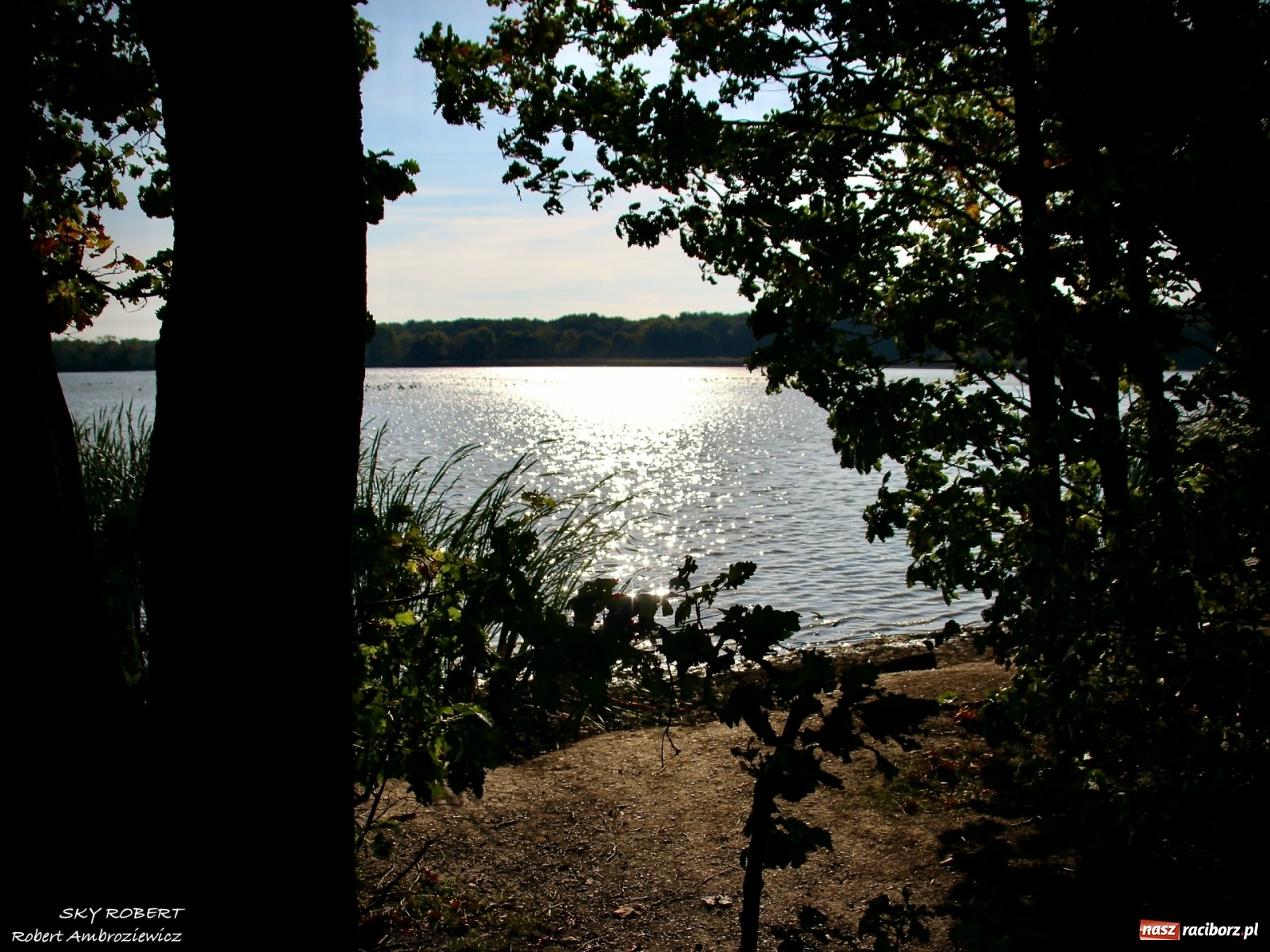 Zdjęcie w galerii na portalu naszraciborz.pl: Łężczok jak Morskie Oko. Rezerwat jest oblegany przez turystów [FOTO] wiadomości z regionu