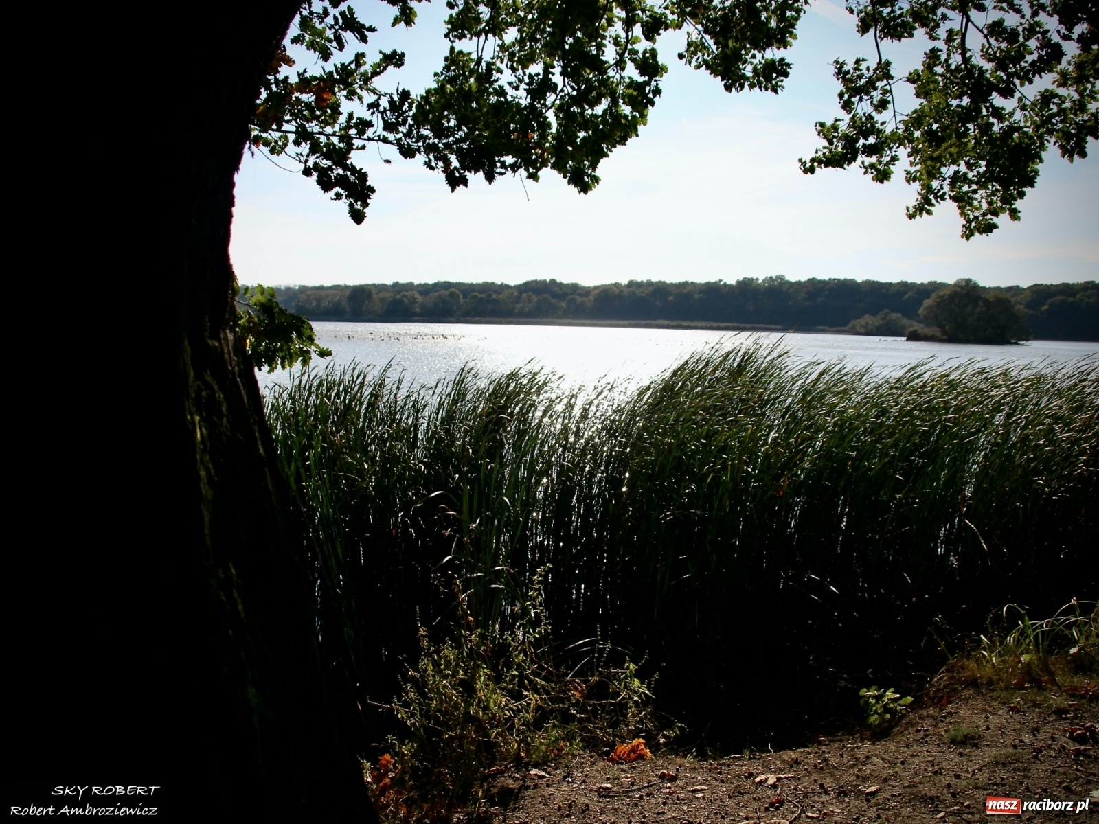 Zdjęcie w galerii na portalu naszraciborz.pl: Łężczok jak Morskie Oko. Rezerwat jest oblegany przez turystów [FOTO] wiadomości z regionu