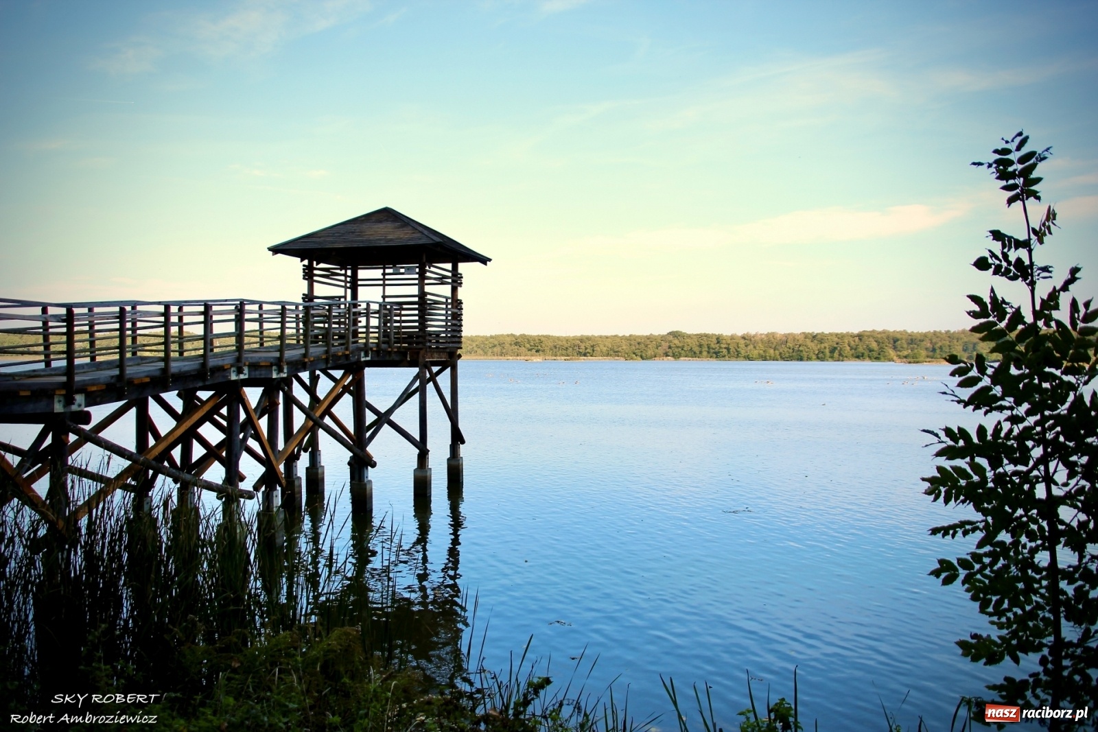 Zdjęcie w galerii na portalu naszraciborz.pl: Łężczok jak Morskie Oko. Rezerwat jest oblegany przez turystów [FOTO] wiadomości z regionu
