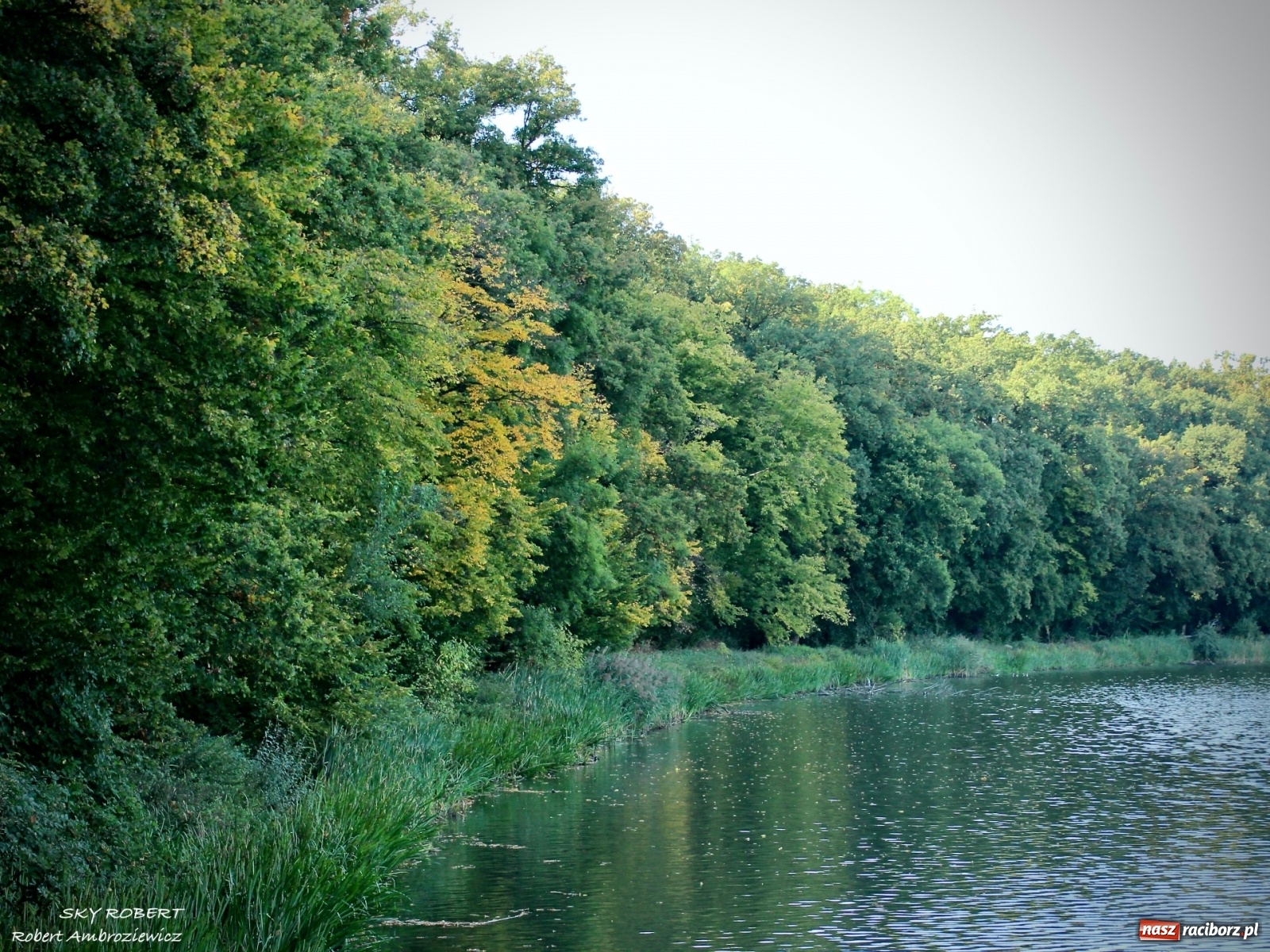Zdjęcie w galerii na portalu naszraciborz.pl: Łężczok jak Morskie Oko. Rezerwat jest oblegany przez turystów [FOTO] wiadomości z regionu
