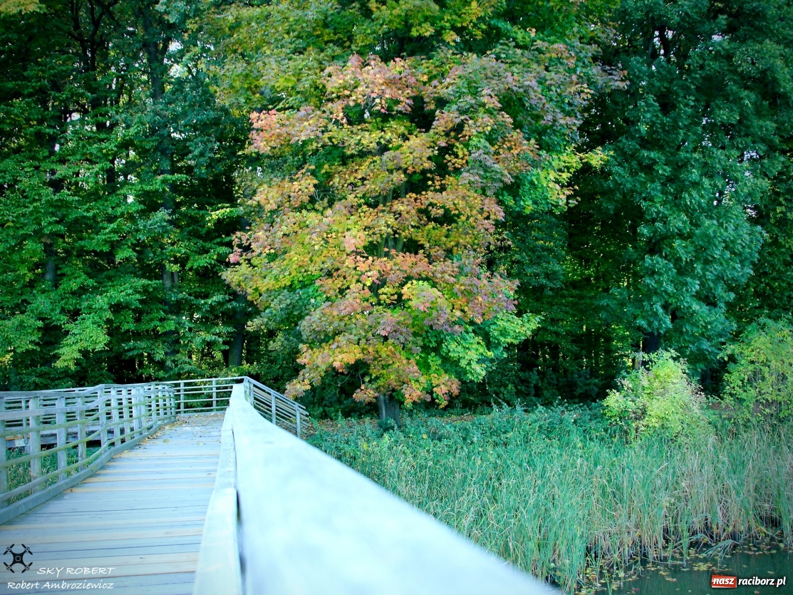 Zdjęcie w galerii na portalu naszraciborz.pl: Łężczok jak Morskie Oko. Rezerwat jest oblegany przez turystów [FOTO] wiadomości z regionu