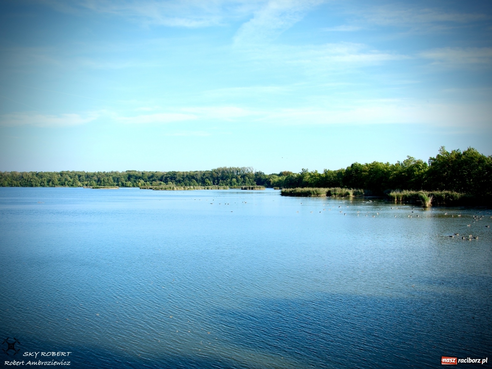 Zdjęcie w galerii na portalu naszraciborz.pl: Łężczok jak Morskie Oko. Rezerwat jest oblegany przez turystów [FOTO] wiadomości z regionu