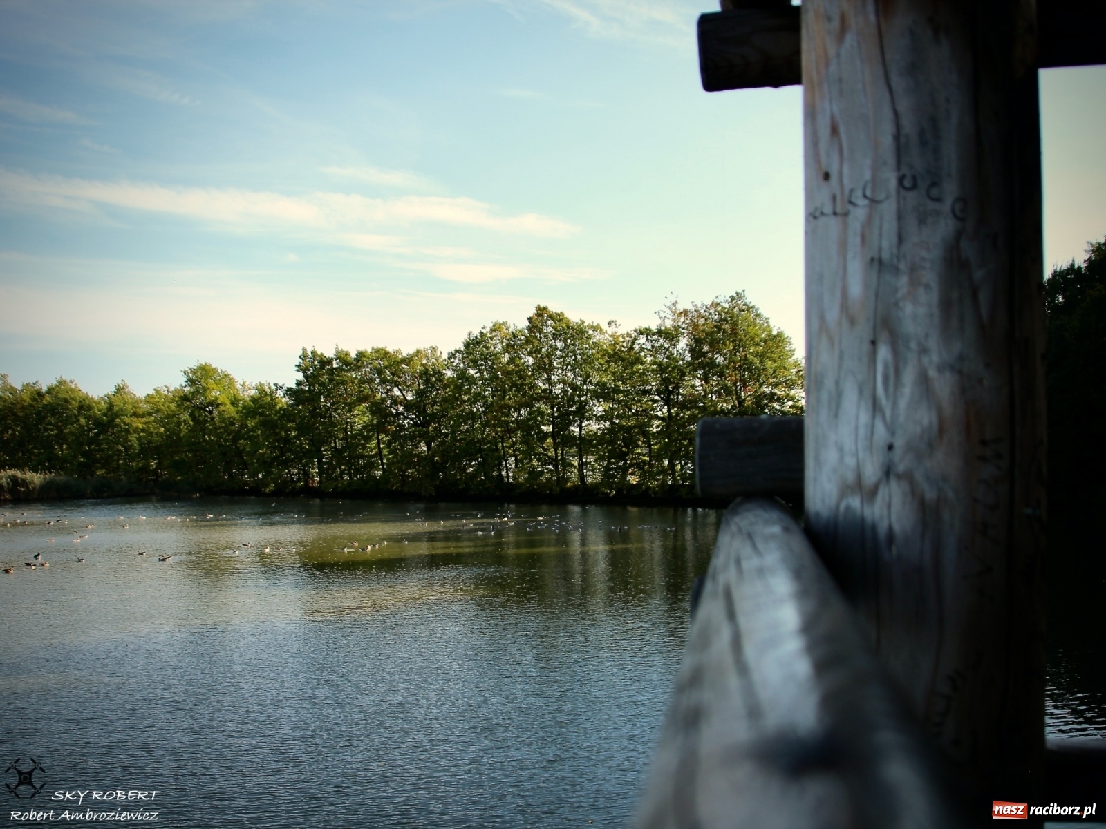 Zdjęcie w galerii na portalu naszraciborz.pl: Łężczok jak Morskie Oko. Rezerwat jest oblegany przez turystów [FOTO] wiadomości z regionu