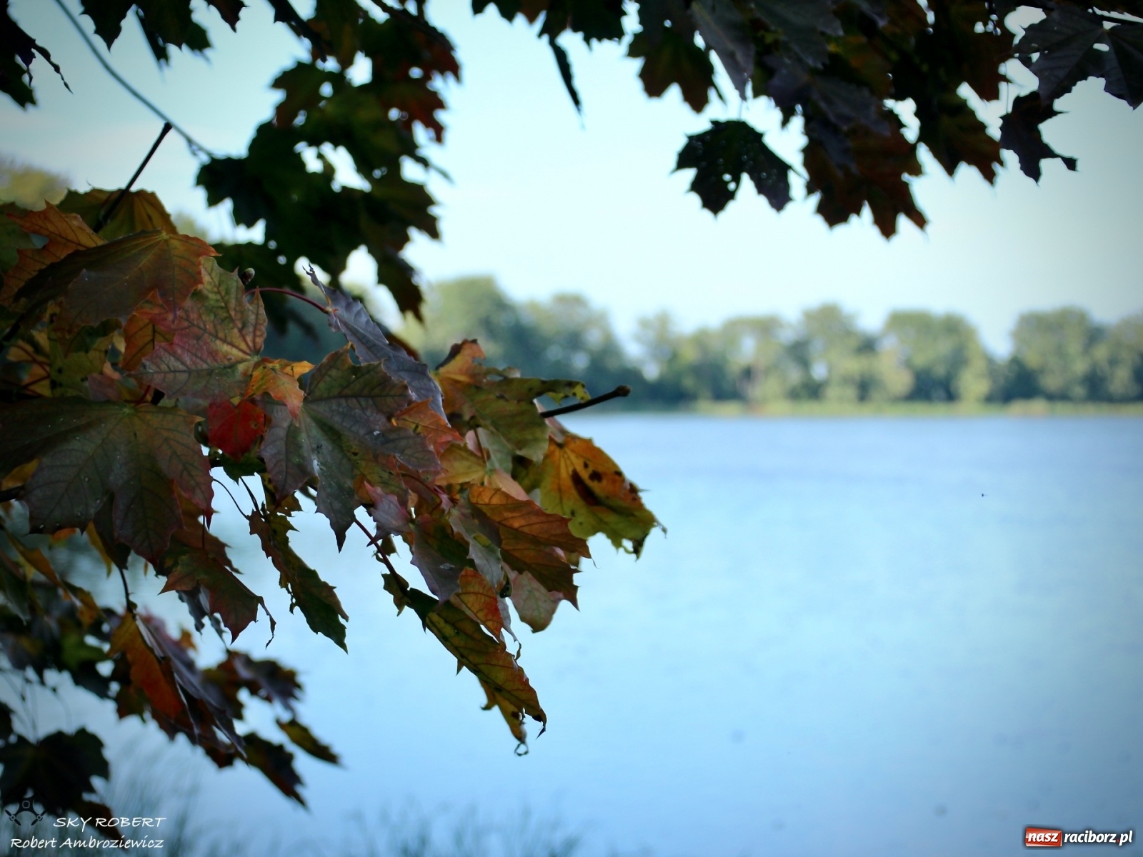 Zdjęcie w galerii na portalu naszraciborz.pl: Łężczok jak Morskie Oko. Rezerwat jest oblegany przez turystów [FOTO] wiadomości z regionu