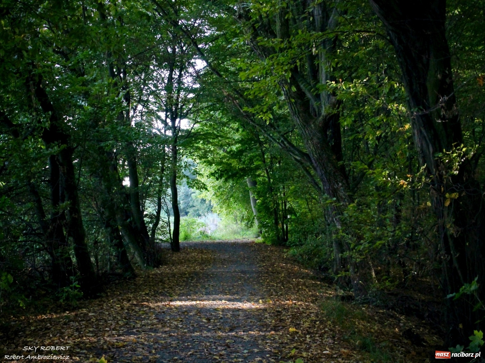 Zdjęcie w galerii na portalu naszraciborz.pl: Łężczok jak Morskie Oko. Rezerwat jest oblegany przez turystów [FOTO] wiadomości z regionu