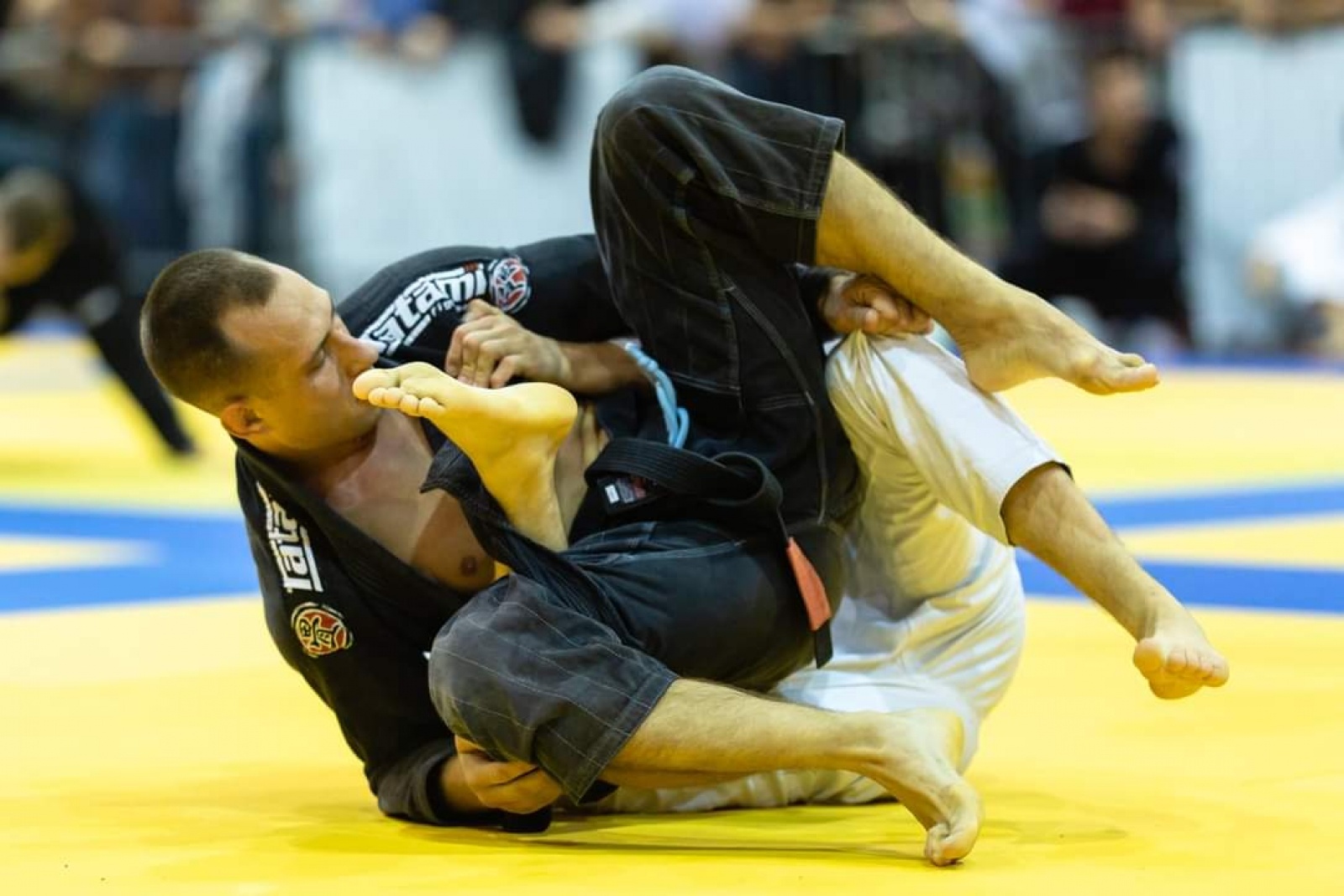 Zdjęcie w galerii na portalu naszraciborz.pl: Medale Łamatorów w Tarnowie Podgórnym wiadomości z regionu