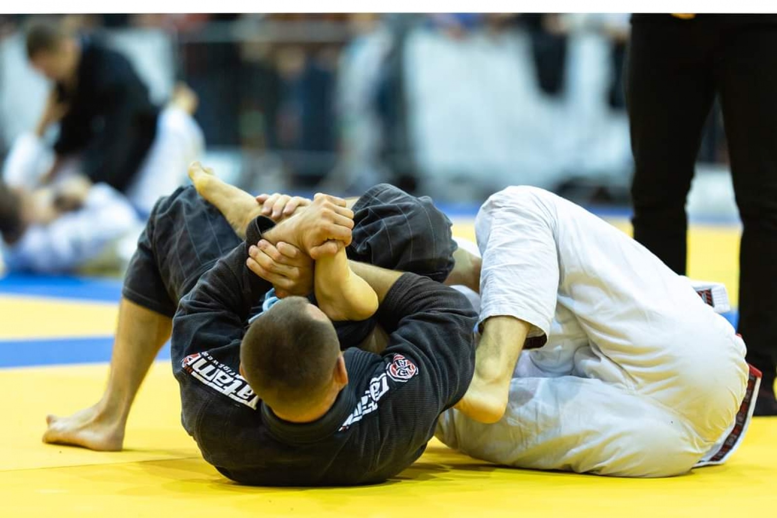 Zdjęcie w galerii na portalu naszraciborz.pl: Medale Łamatorów w Tarnowie Podgórnym wiadomości z regionu