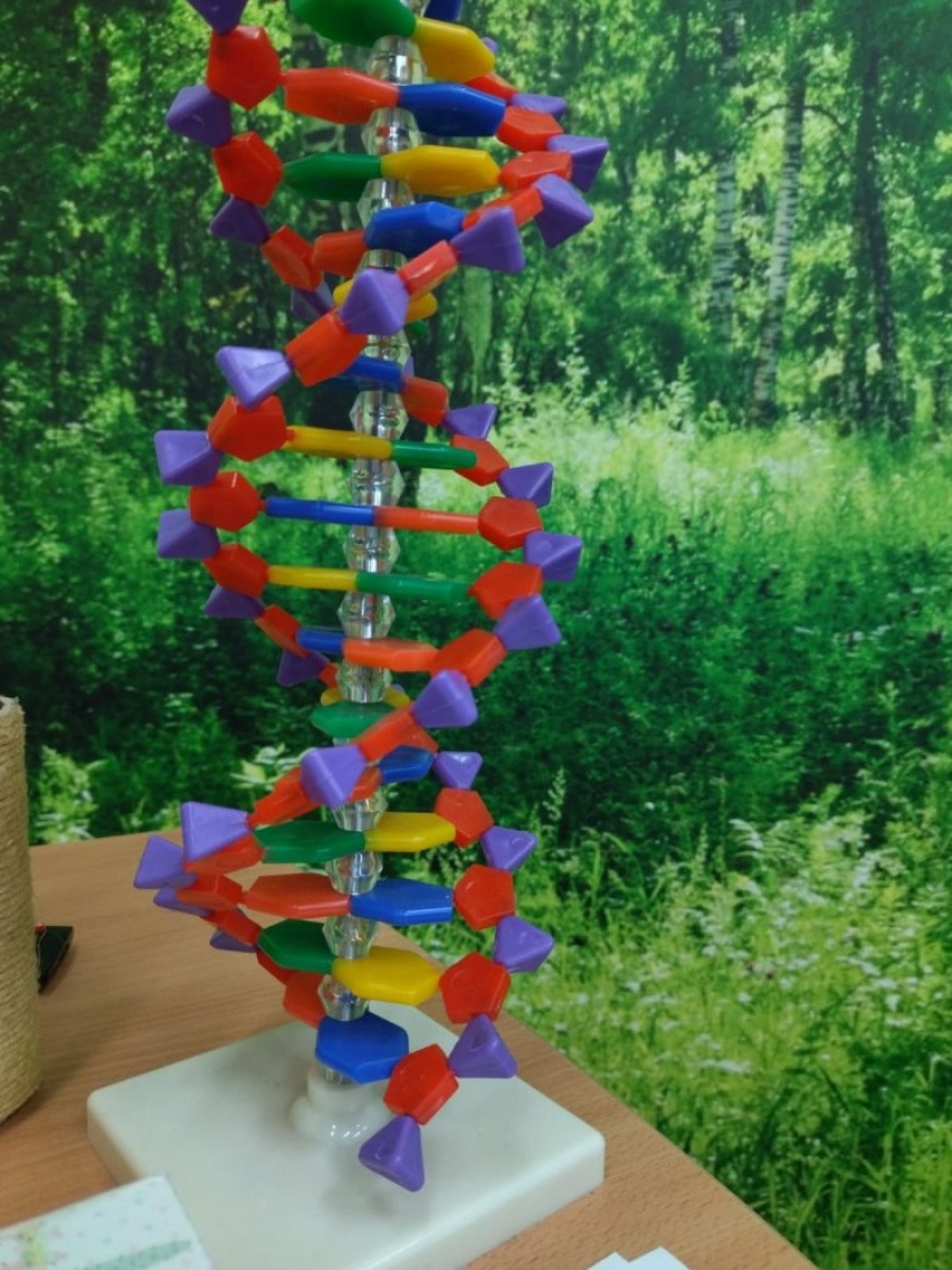 Zdjęcie w galerii na portalu naszraciborz.pl: W szkole w Budziskach otwarto Zieloną Pracownię wiadomości z regionu