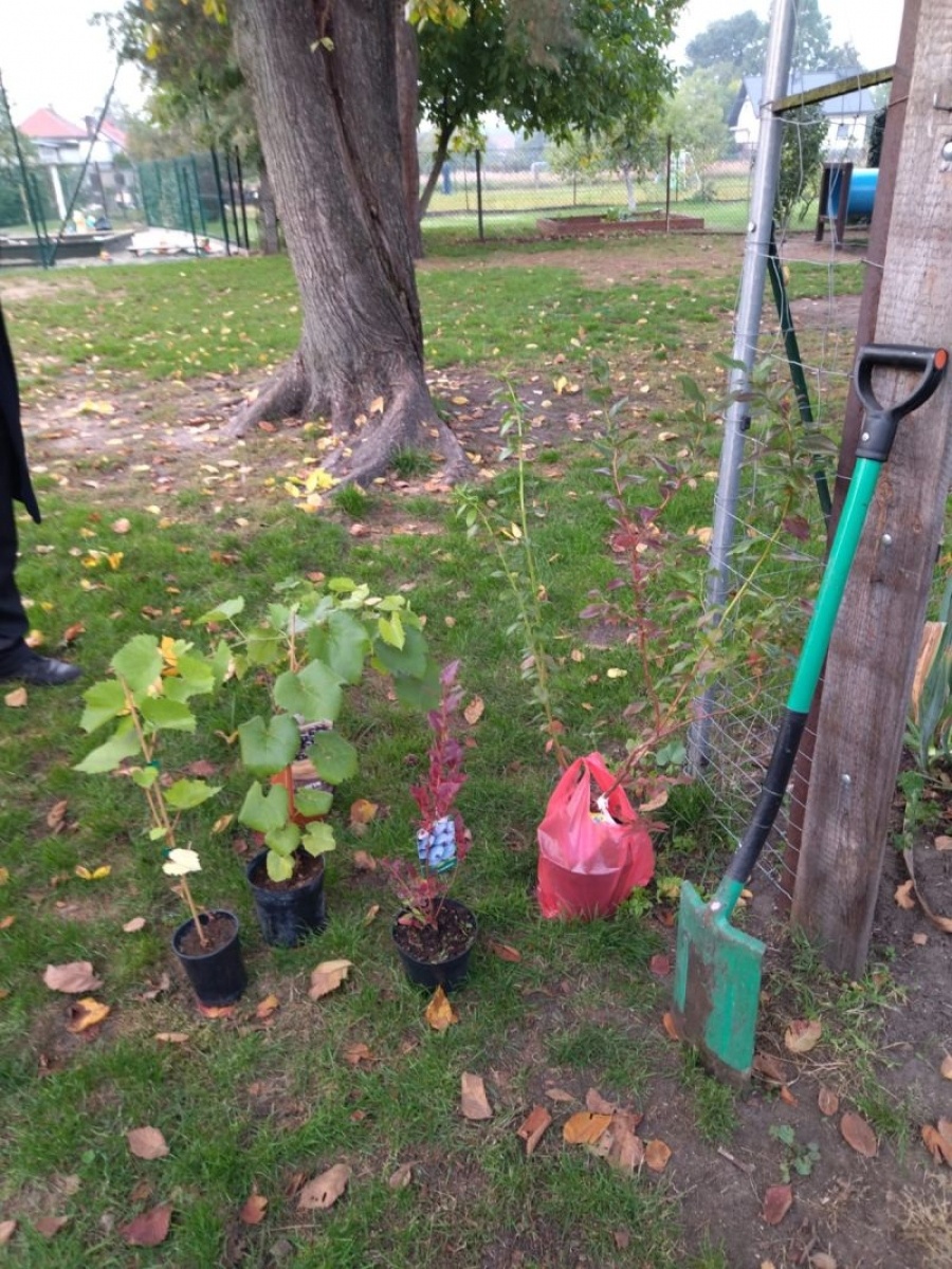 Zdjęcie w galerii na portalu naszraciborz.pl: W szkole w Budziskach otwarto Zieloną Pracownię wiadomości z regionu