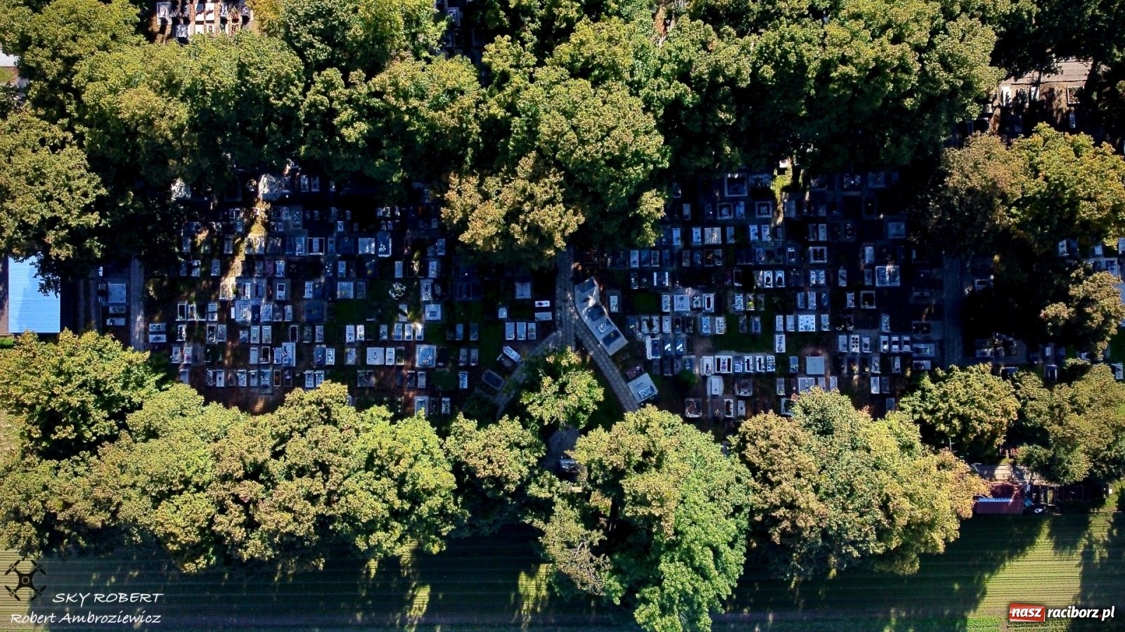 Zdjęcie w galerii na portalu naszraciborz.pl: Niedzielski o rekomendacjach dot. cmentarzy 1 listopada wiadomości z regionu