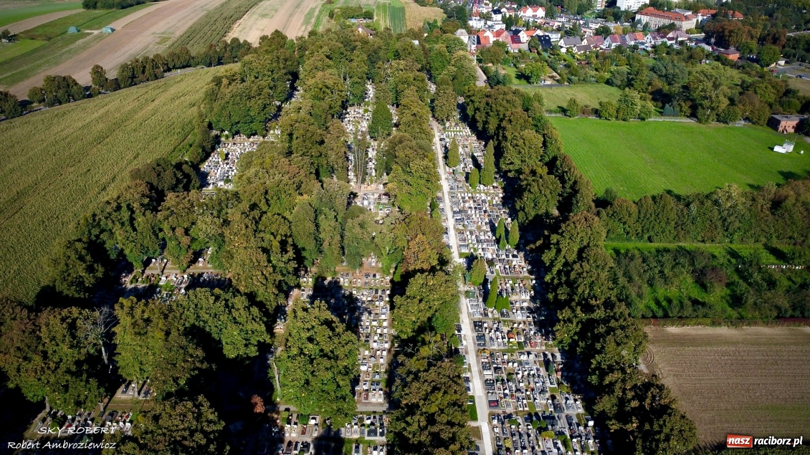 Zdjęcie w galerii na portalu naszraciborz.pl: Niedzielski o rekomendacjach dot. cmentarzy 1 listopada wiadomości z regionu
