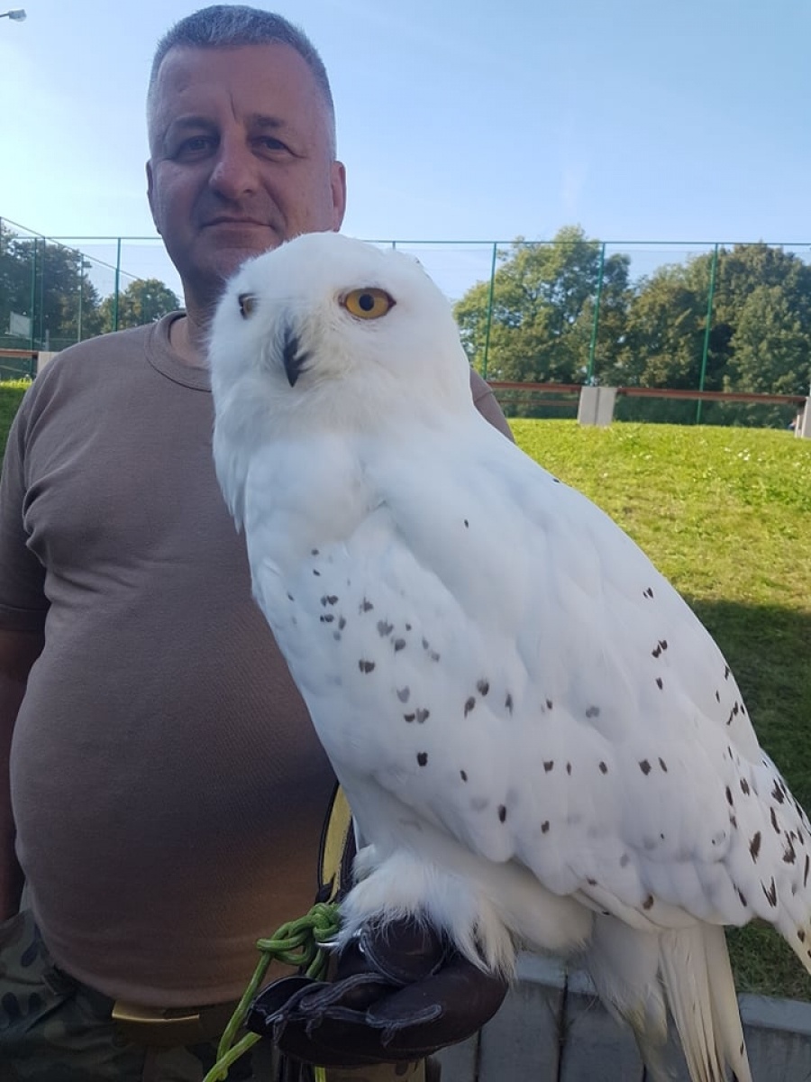 Zdjęcie w galerii na portalu naszraciborz.pl: Uczniowie SP 18 oko w oko z sową wiadomości z regionu
