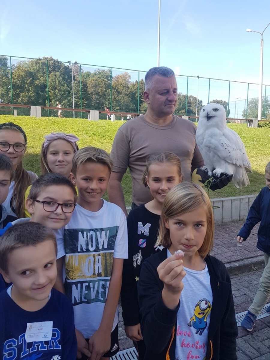Zdjęcie w galerii na portalu naszraciborz.pl: Uczniowie SP 18 oko w oko z sową wiadomości z regionu