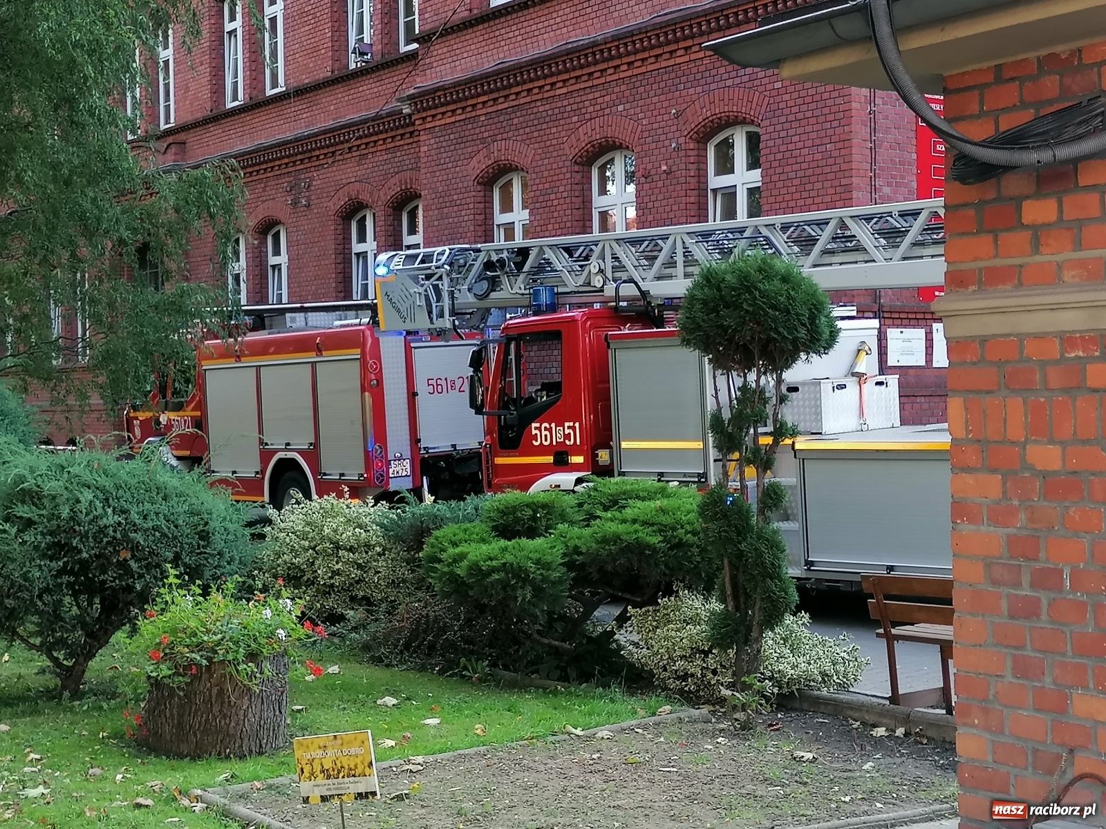 Zdjęcie w galerii na portalu naszraciborz.pl: Drzewo runęło na samochody [FOTO]. Plama długa na 10 km na DW 935 wiadomości z regionu