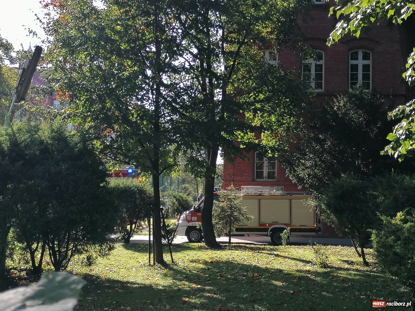 Zdjęcie w galerii na portalu naszraciborz.pl: Drzewo runęło na samochody [FOTO]. Plama długa na 10 km na DW 935 wiadomości z regionu