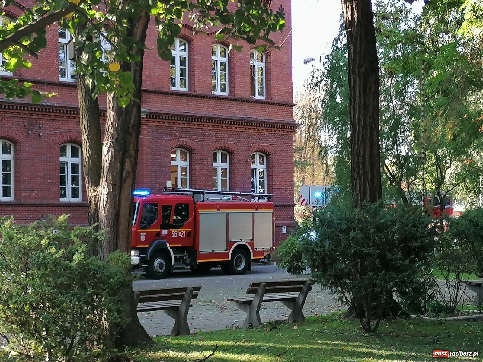 Zdjęcie w galerii na portalu naszraciborz.pl: Drzewo runęło na samochody [FOTO]. Plama długa na 10 km na DW 935 wiadomości z regionu