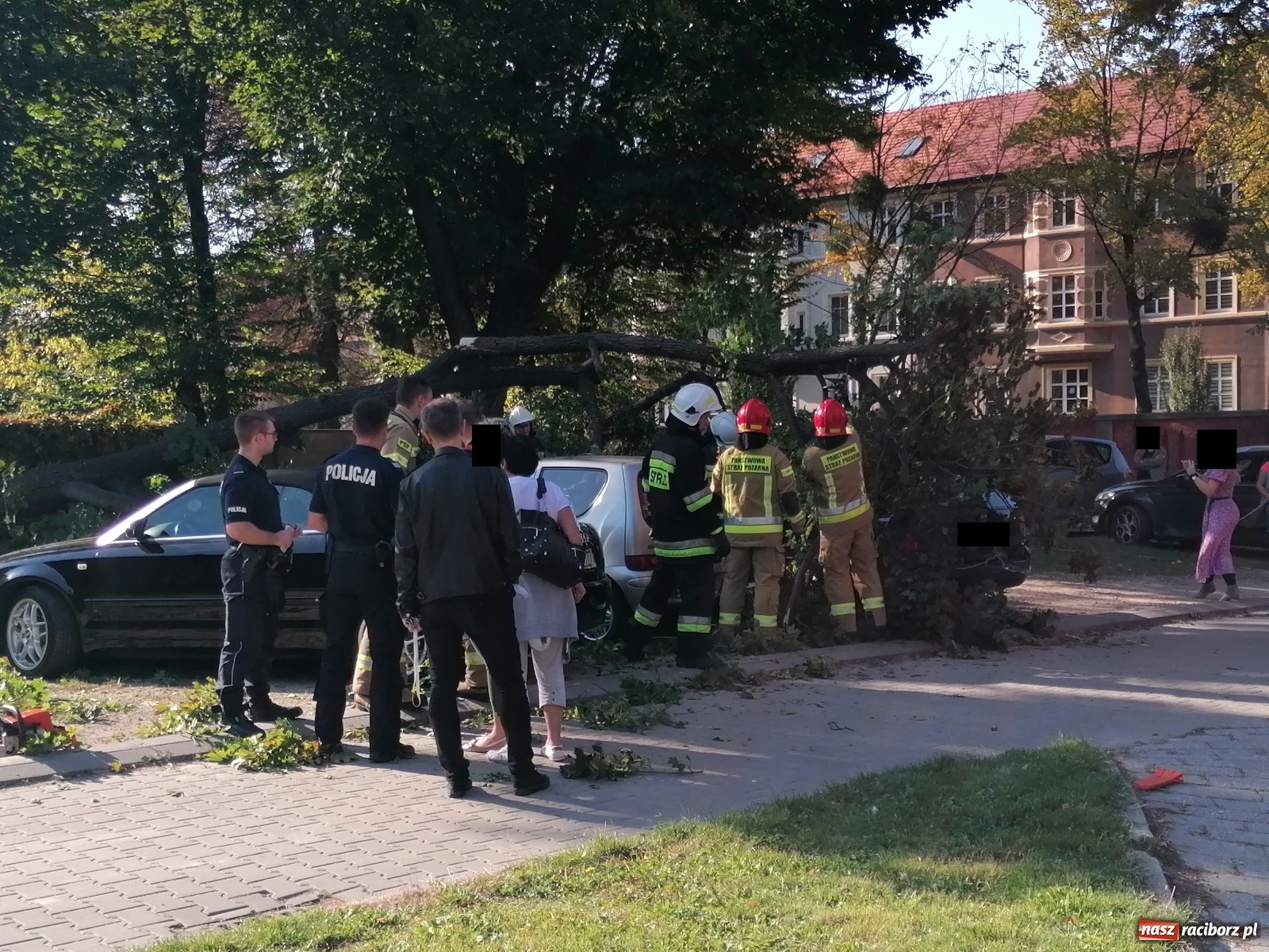 Zdjęcie w galerii na portalu naszraciborz.pl: Drzewo runęło na samochody [FOTO]. Plama długa na 10 km na DW 935 wiadomości z regionu