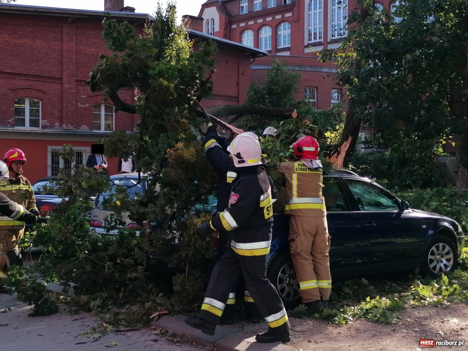 Zdjęcie w galerii na portalu naszraciborz.pl: Drzewo runęło na samochody [FOTO]. Plama długa na 10 km na DW 935 wiadomości z regionu
