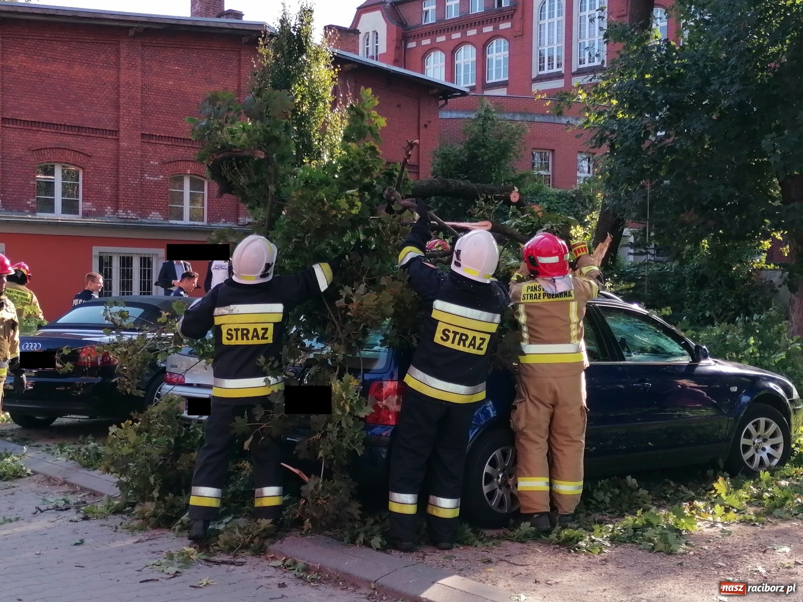 Zdjęcie w galerii na portalu naszraciborz.pl: Drzewo runęło na samochody [FOTO]. Plama długa na 10 km na DW 935 wiadomości z regionu