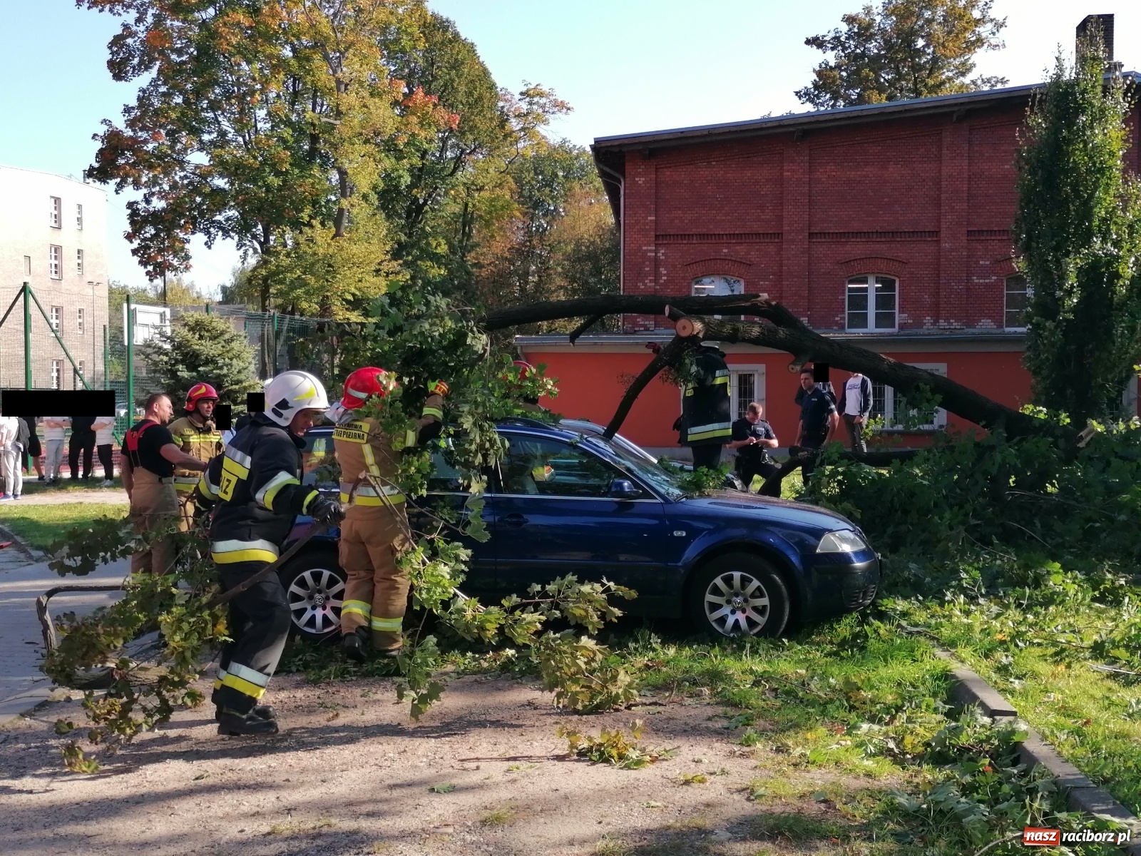 Zdjęcie w galerii na portalu naszraciborz.pl: Drzewo runęło na samochody [FOTO]. Plama długa na 10 km na DW 935 wiadomości z regionu