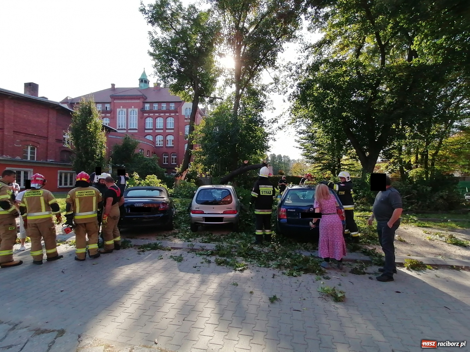 Zdjęcie w galerii na portalu naszraciborz.pl: Drzewo runęło na samochody [FOTO]. Plama długa na 10 km na DW 935 wiadomości z regionu