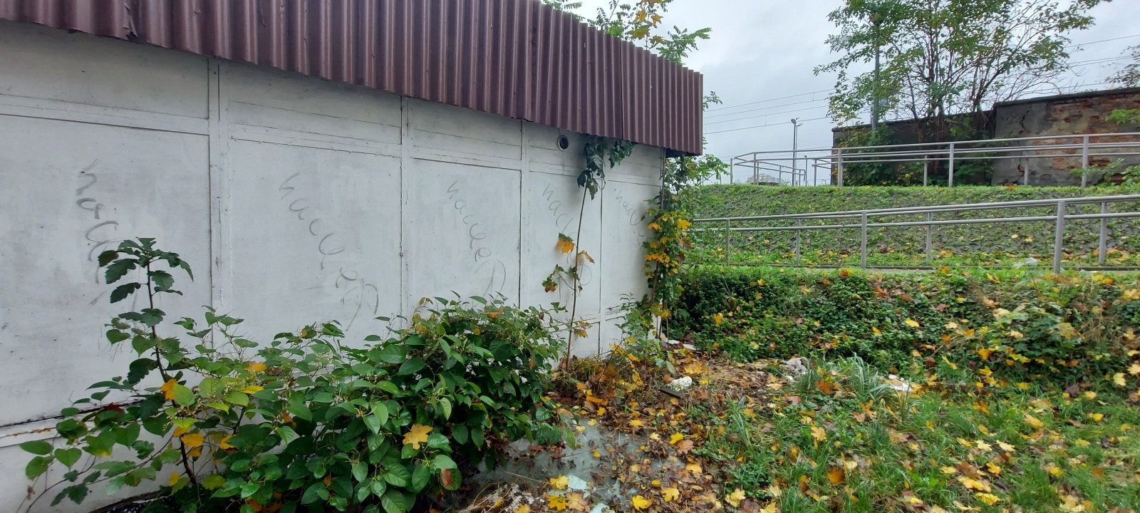 Zdjęcie w galerii na portalu naszraciborz.pl: Osiem firm walczyło o zlecenie na rozbiórkę rudery wiadomości z regionu