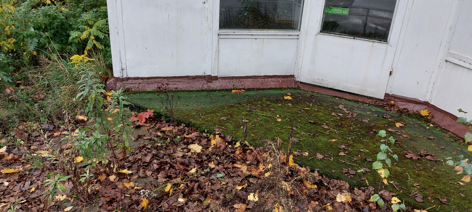 Zdjęcie w galerii na portalu naszraciborz.pl: Osiem firm walczyło o zlecenie na rozbiórkę rudery wiadomości z regionu