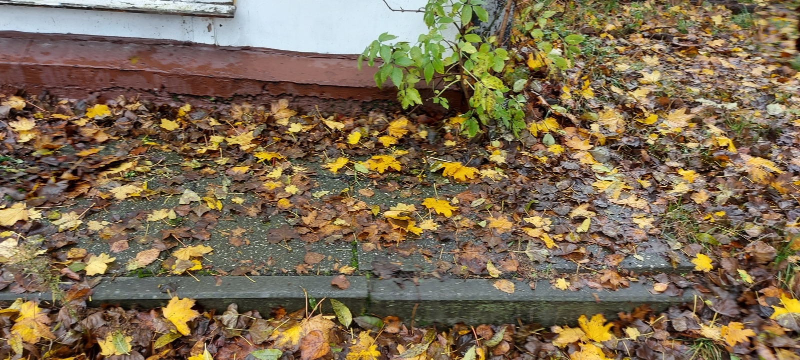 Zdjęcie w galerii na portalu naszraciborz.pl: Osiem firm walczyło o zlecenie na rozbiórkę rudery wiadomości z regionu