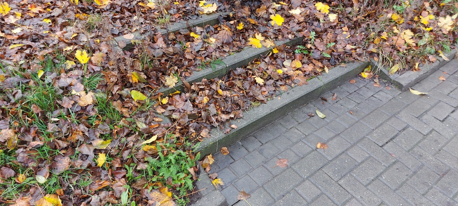 Zdjęcie w galerii na portalu naszraciborz.pl: Osiem firm walczyło o zlecenie na rozbiórkę rudery wiadomości z regionu