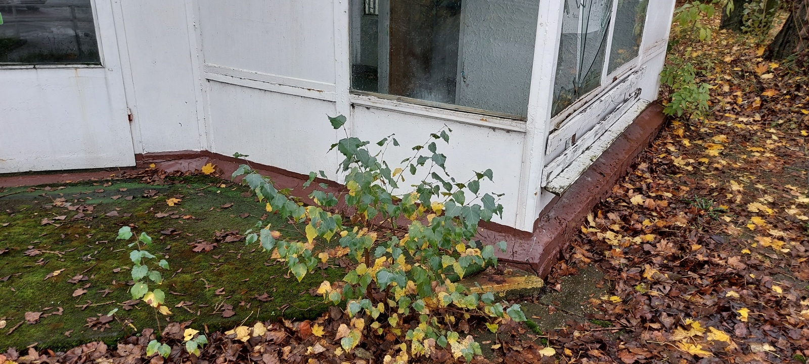 Zdjęcie w galerii na portalu naszraciborz.pl: Osiem firm walczyło o zlecenie na rozbiórkę rudery wiadomości z regionu