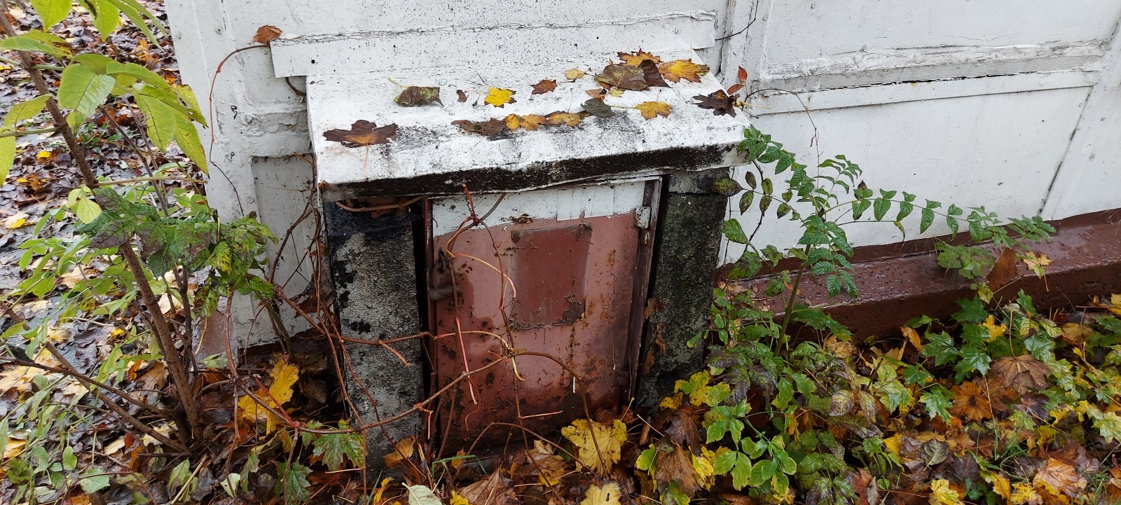 Zdjęcie w galerii na portalu naszraciborz.pl: Osiem firm walczyło o zlecenie na rozbiórkę rudery wiadomości z regionu