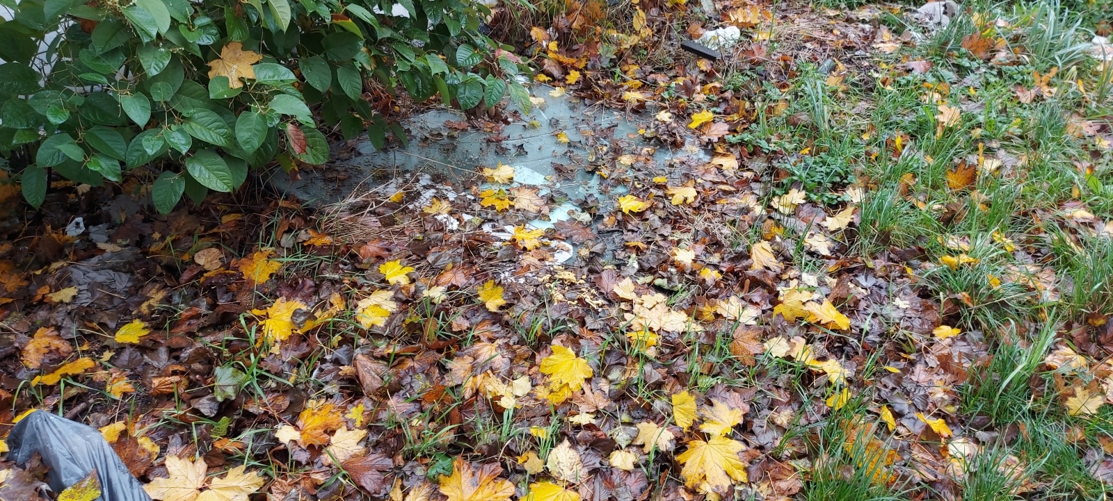 Zdjęcie w galerii na portalu naszraciborz.pl: Osiem firm walczyło o zlecenie na rozbiórkę rudery wiadomości z regionu