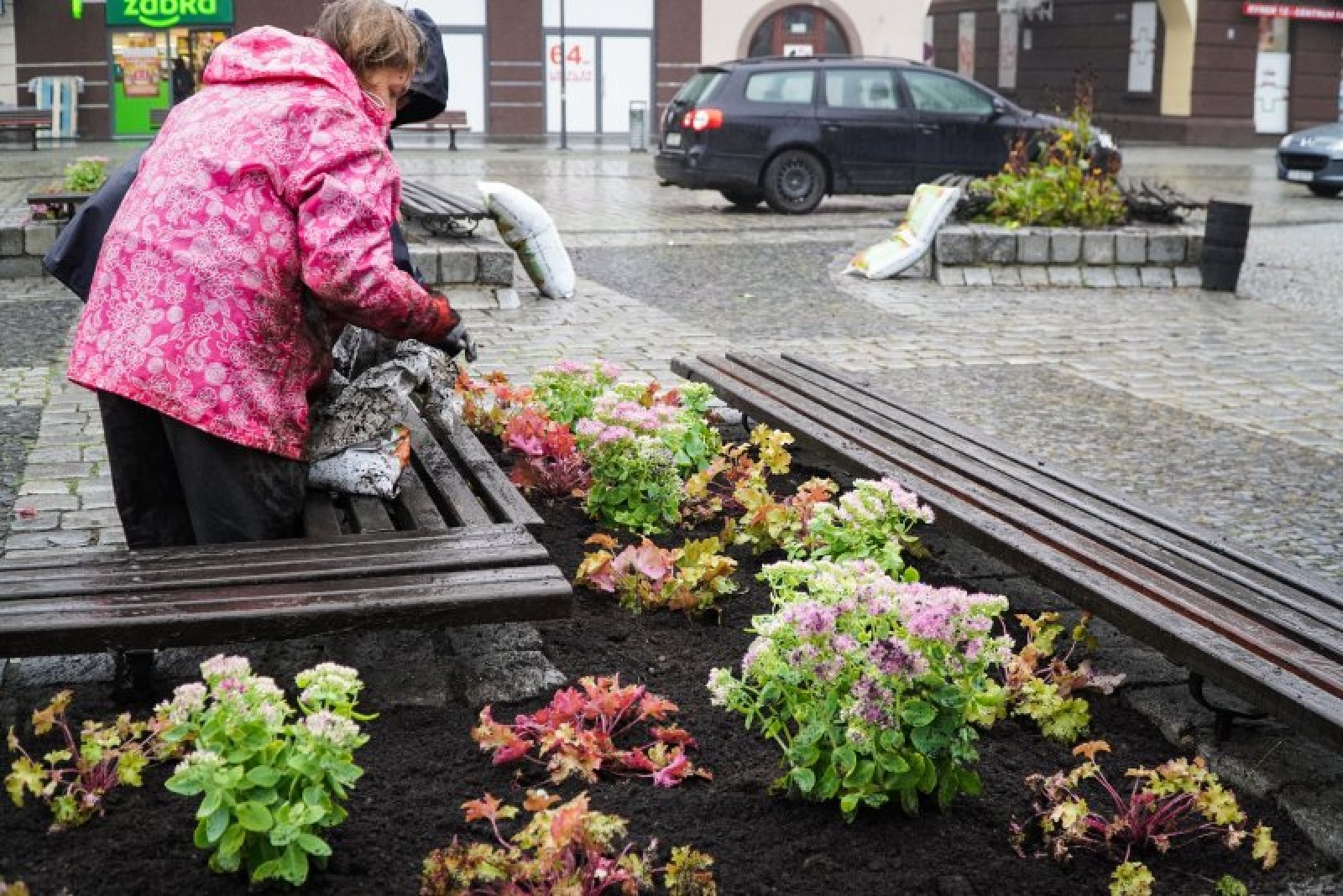 Zdjęcie w galerii na portalu naszraciborz.pl: Nowe nasadzenia na rynku. Docelowo ma być jak przed wojną wiadomości z regionu
